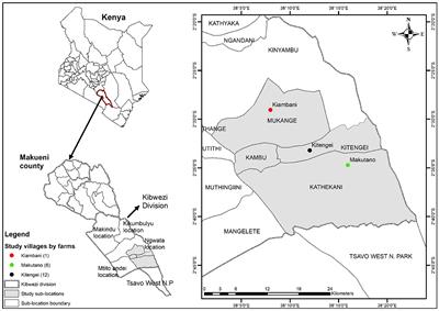 Reducing Climate Risks by Improving Food Production and Value Chains: A Case of Sandy Soils in Semi-arid Kenya